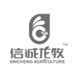 哈尔滨品牌设计